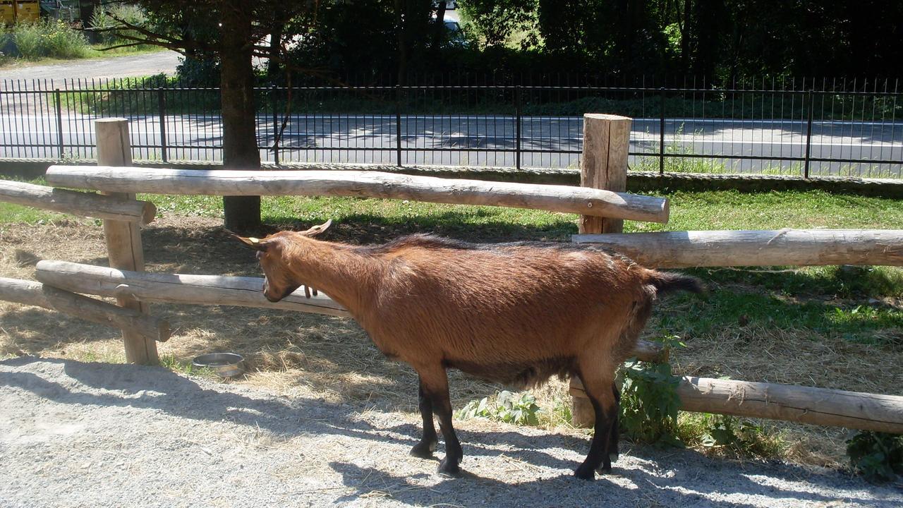 B&B Valle Orco Sparone Εξωτερικό φωτογραφία